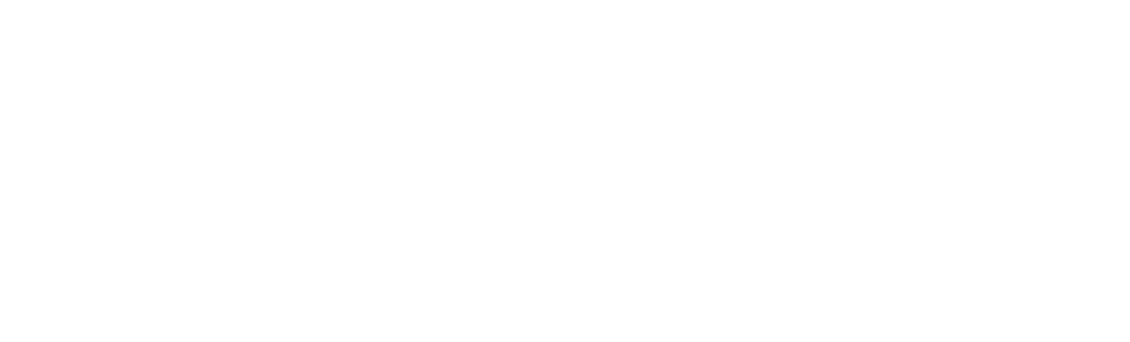EINSigartig Schrift Logo in weiß